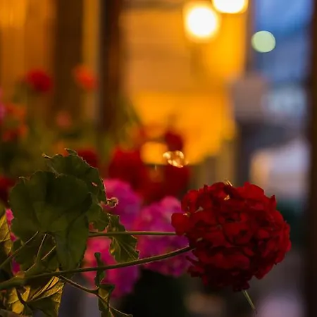 La Rosa 론타