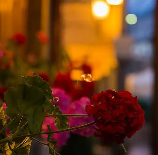 La Rosa Ronta